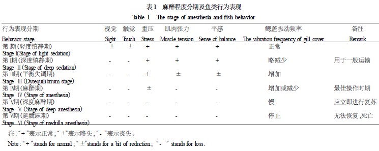 麻醉程度分期及魚類行為表現